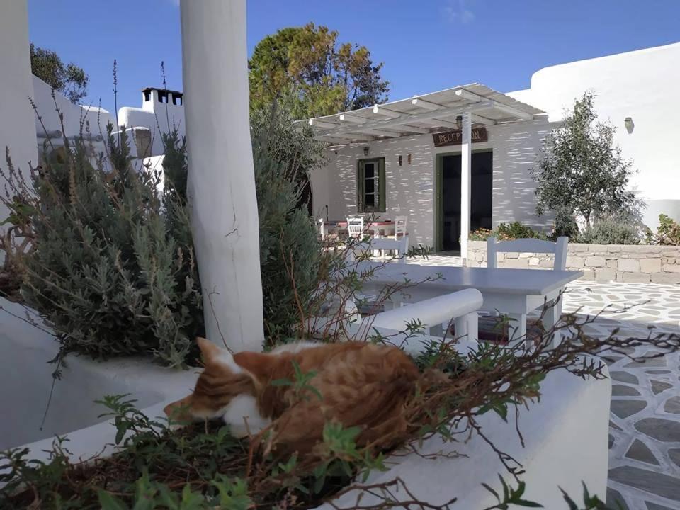Thalassitra Village Hotel Adamantas  Exterior foto